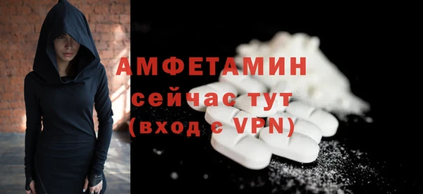 гидра Аркадак