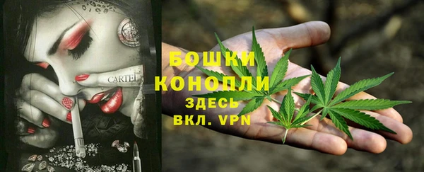 гидра Аркадак